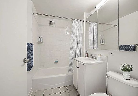 3rd image of 229 Chrystie St Ph 19