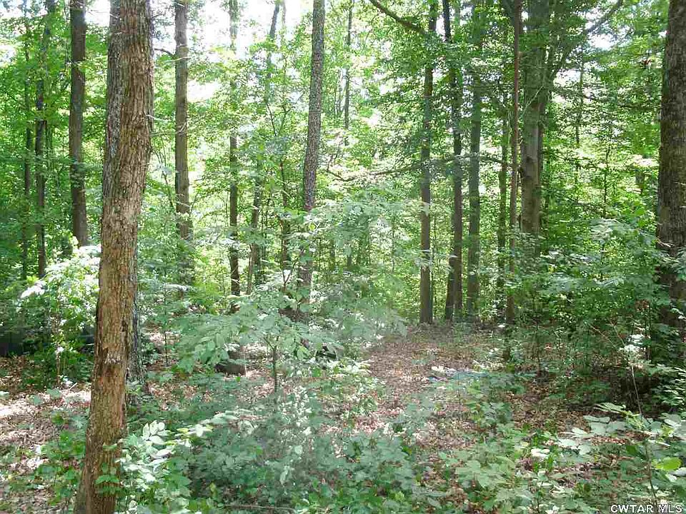 2nd image of Cub Creek Hall Rd