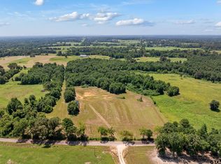 22728 County Road 2166, Troup, TX 75789