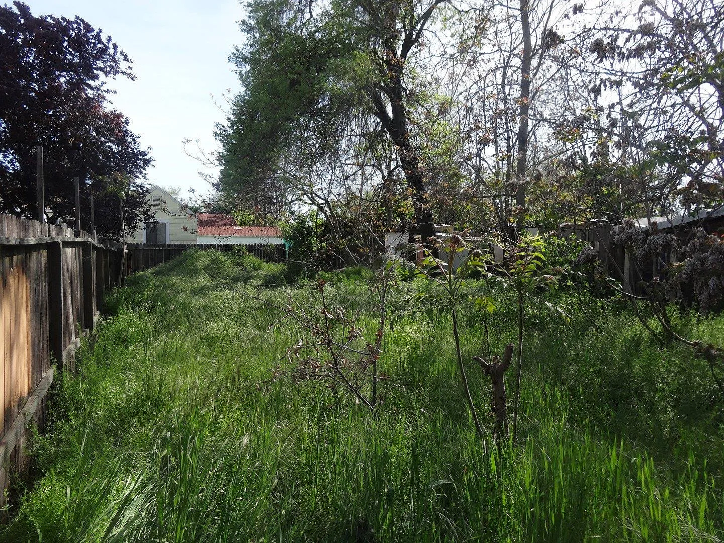 203 5th St photo 1