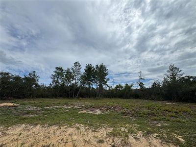 NE 135TH ST LOT 1, Fort Mc Coy, FL, 32134