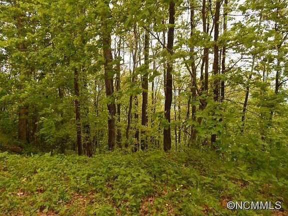 2nd image of Eagles Nest Road