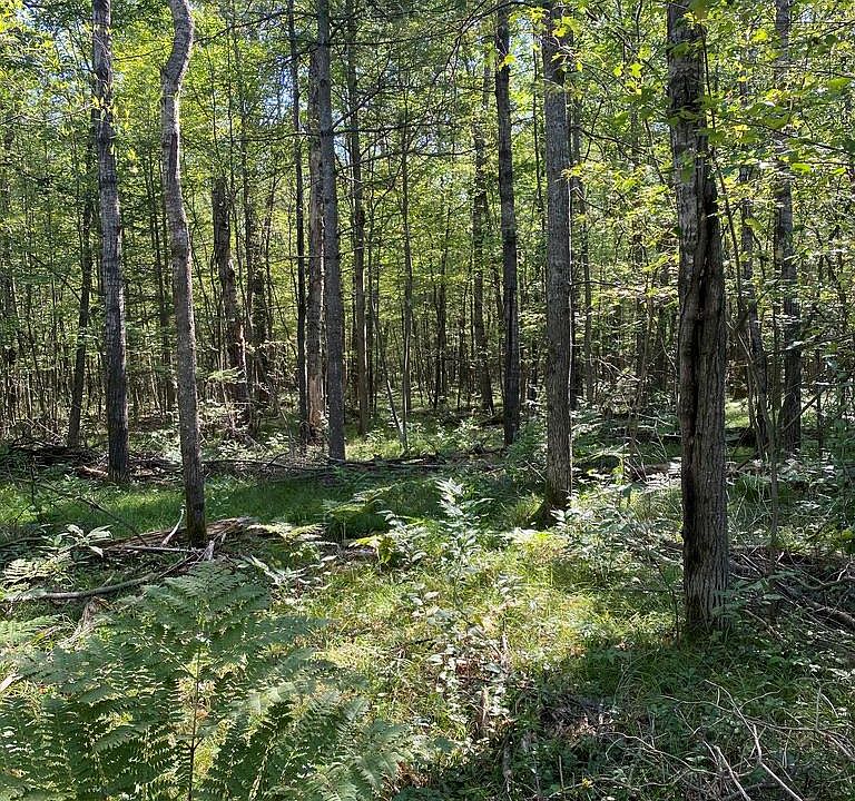 1st image of 0 Timber Ln