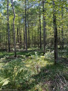 0 Timber Ln, Alger, MI, 48610