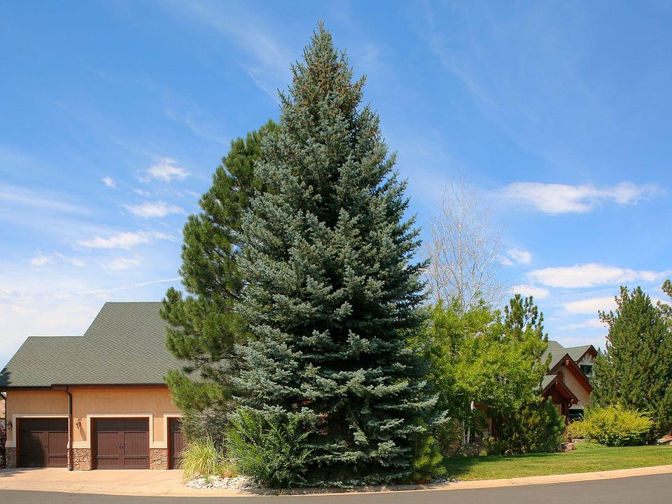 7115 Parkwood Ln, Castle Pines, CO 80108 Zillow
