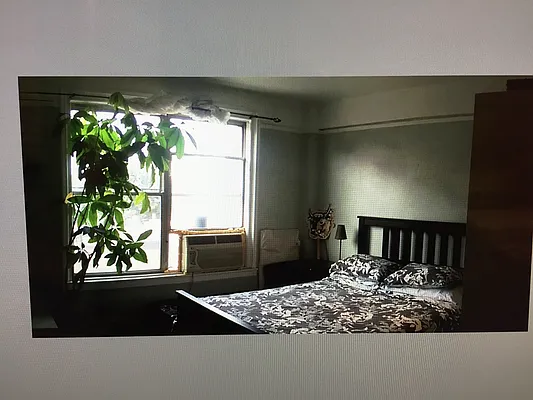 Rented by Virtual Real Estate | media 3