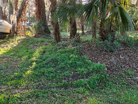 4th image of 2214 Needle Palm Dr