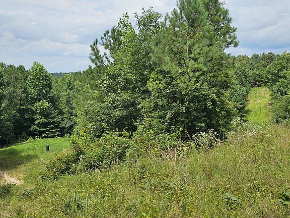 Shooting lane on western portion of property.