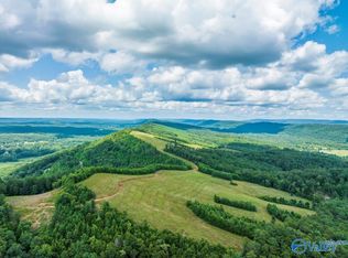 1570 Bruton Gap Rd, Attalla, AL 35954