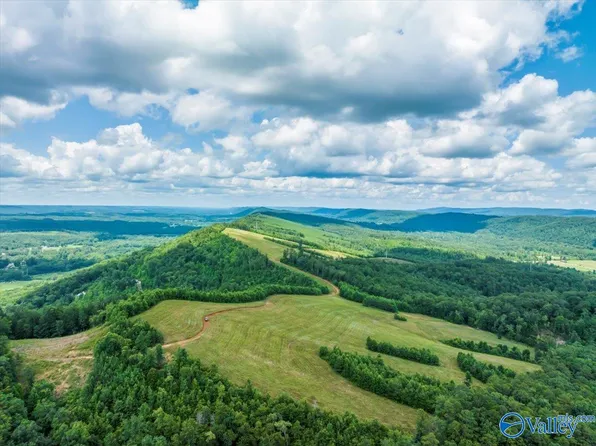 1570 Bruton Gap Rd, Attalla, AL 35954