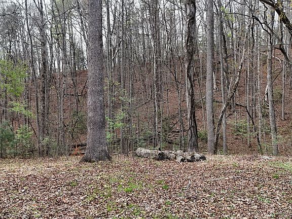 5th image of 8 Settlement Ln