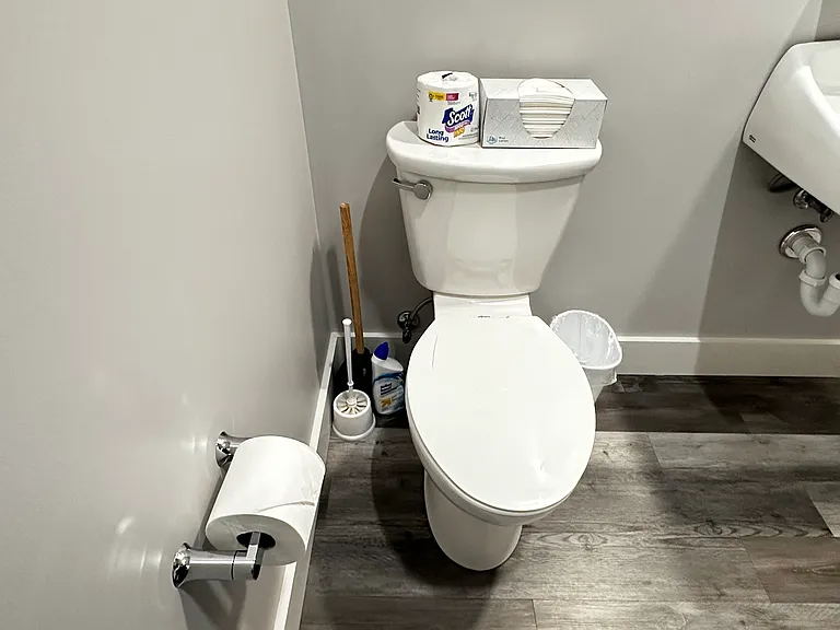 -Plunger, Toilet Brush, Toilet Bowl Cleaner
-2 rolls of toilet paper, and tissues
