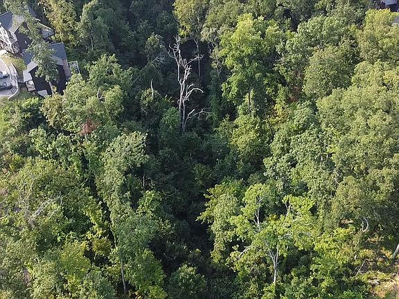 3rd image of 145 Reedmont Way