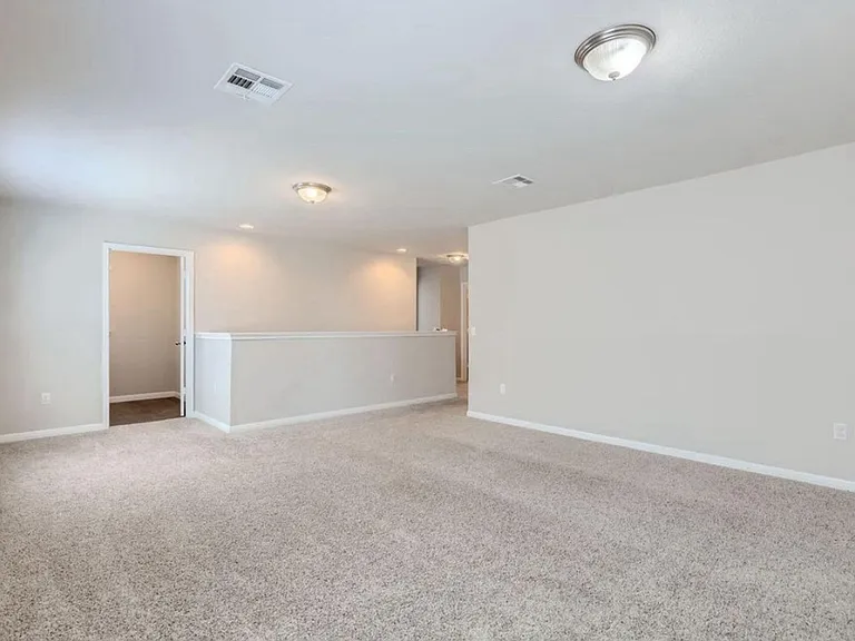324 Sandhill Piper St — Photo 12