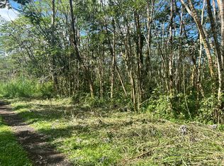 Ginger Rd LOT 237, Pahoa, HI 96778