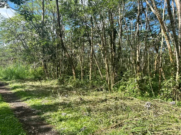 Ginger Rd Lot 237, Pahoa, HI 96778