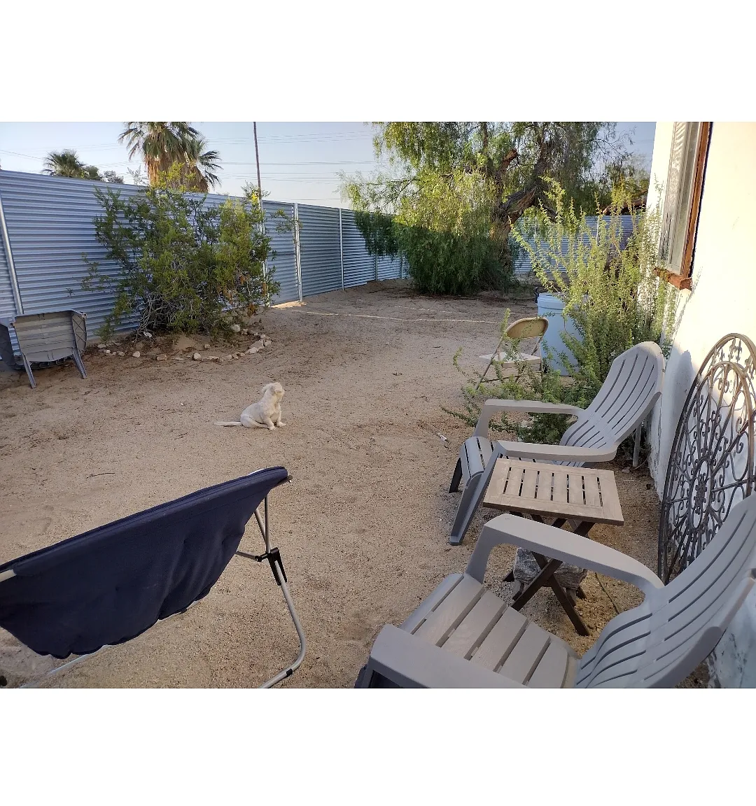 1 bed, 800 sqft, $1,100 — Photo 3