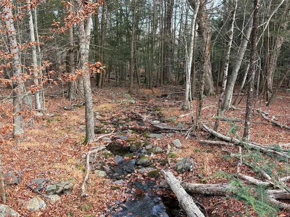 X Aldrich Road, Wurtsboro, NY 12790