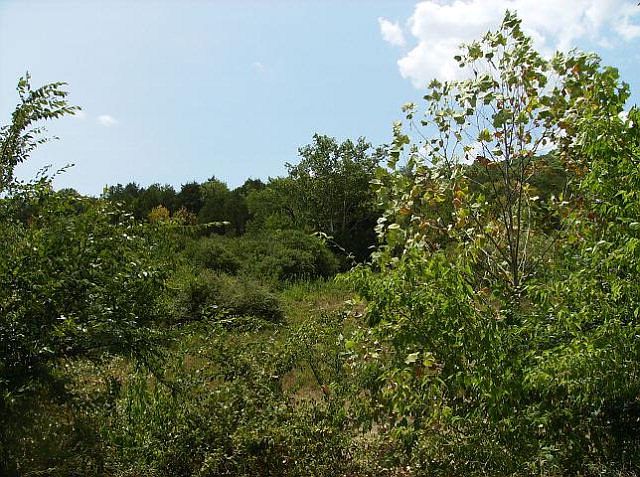 2nd image of 289 Dycus Landing Ln