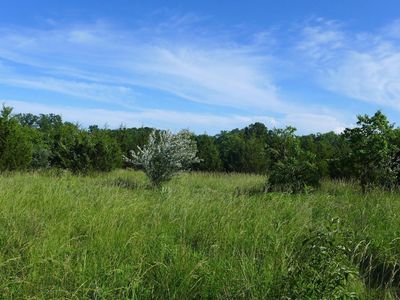 910 W Peabody Rd, Columbia, MO, 65202