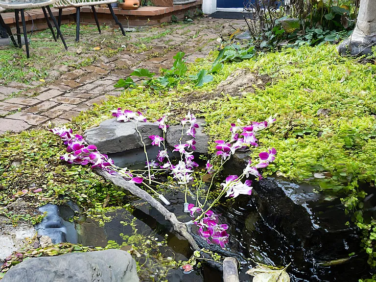 We love our garden.