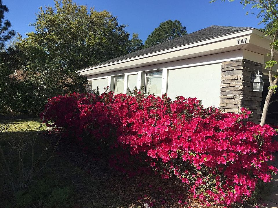 2nd image of 747 Needle Grass Dr