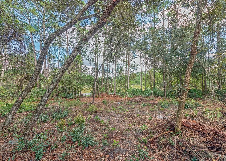 2nd image of Holly Way