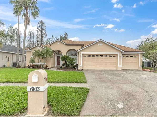 6103 Savoy Cir, Lutz, FL 33558