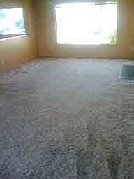 5th image of 3315 52nd Ave NE
