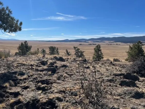 135 Bandana Road, Hartsel, CO 80449