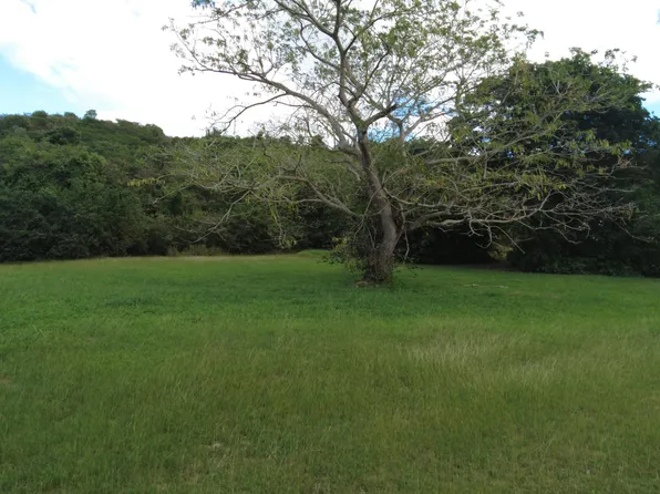 155 Mary's Fancy QU, St. Croix, VI 00820