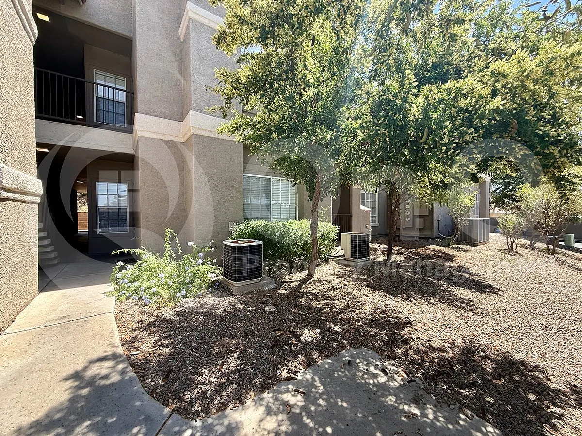 1 bed, 1.0 bath, 725 sqft, $1,249 — Photo 3