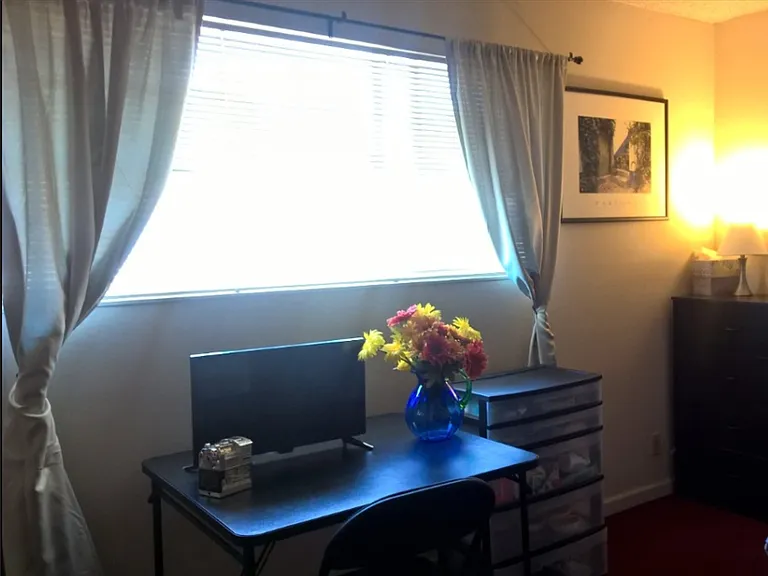 4453 Seminole Way — Photo 11