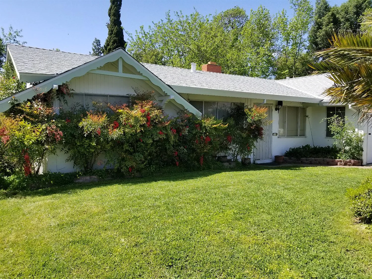 7913 Lesser Way photo 1