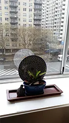 Rented by R New York