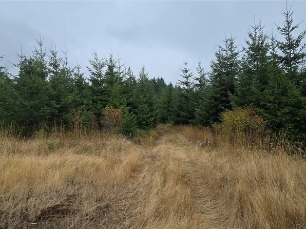 9207 Tract B Old Olympic Highway NW, Olympia, WA 98502