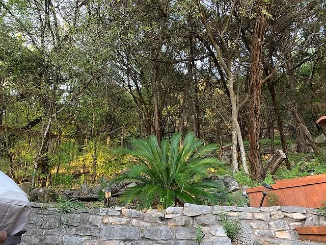 view of the backyard from dining