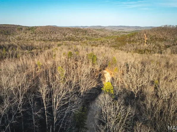 0 County Road 19 #208, Winona, MO 65588