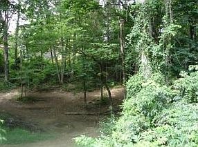 1st image of 111 Sourwood Dr