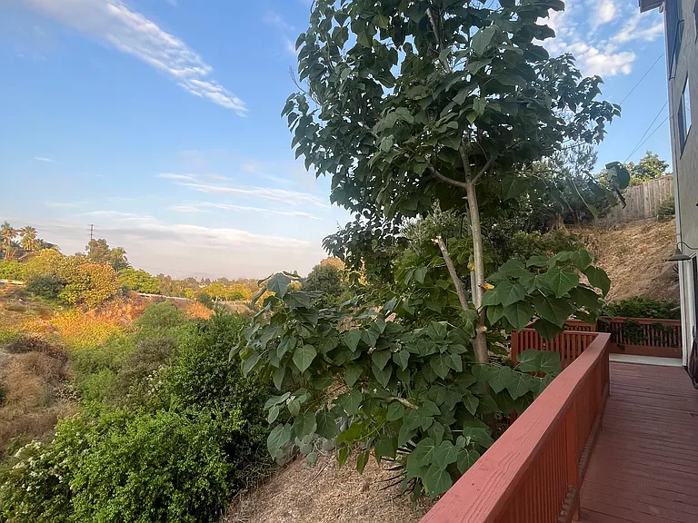 2828 1/2 Bowditch Pl — Photo 4