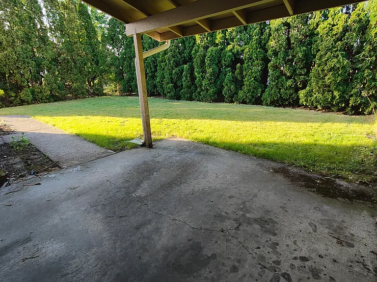 Large fenced backyard