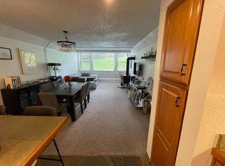 1005 Vine St #1005, Aspen, CO 81611