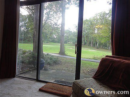 View from Living Room 10ft Windows