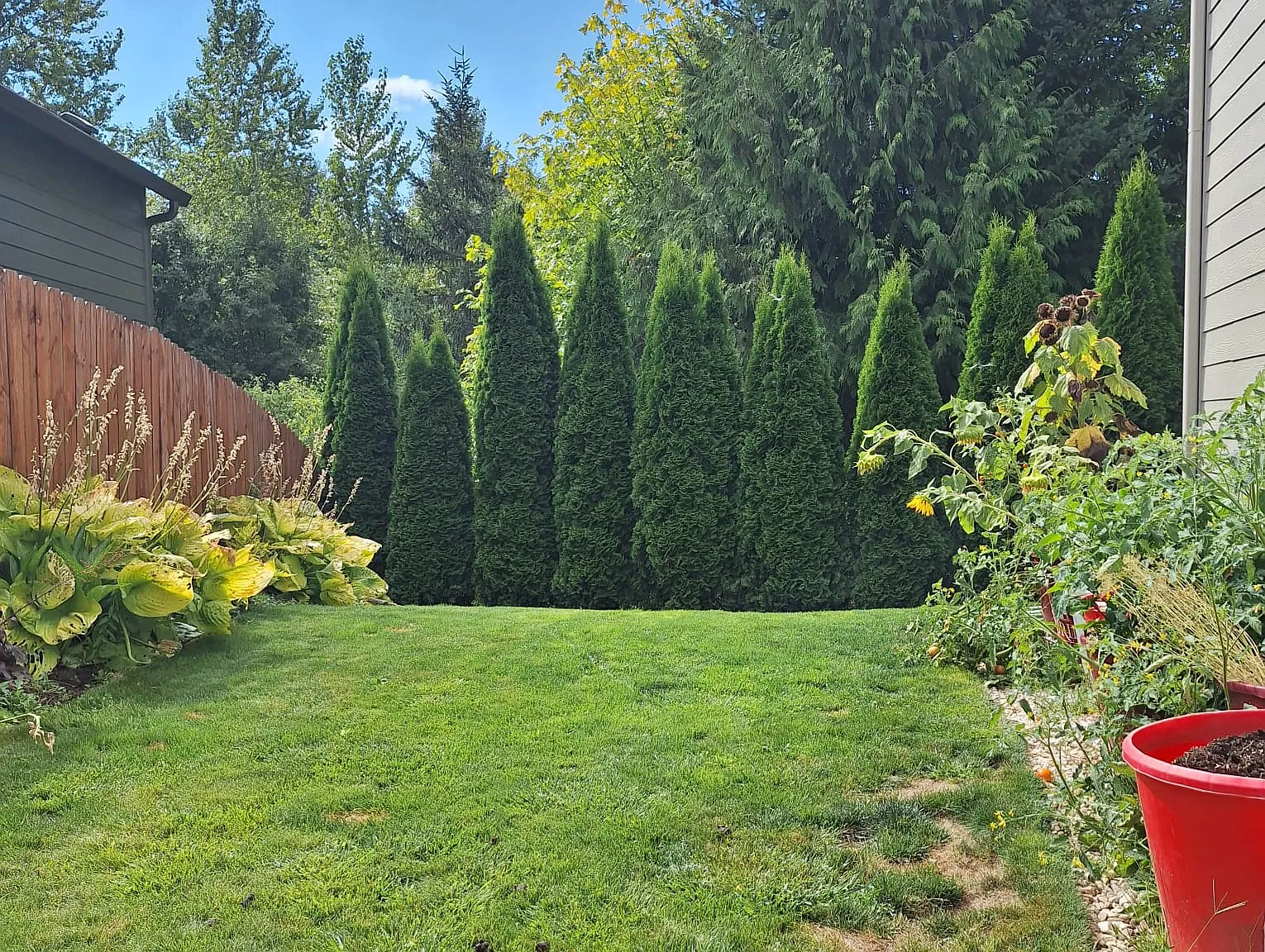 3 bed, 2.5 bath, 1509 sqft, $2,655 — Photo 1