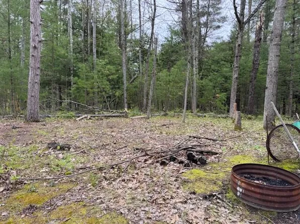 0 N 21st Rd, Mesick, MI 49668
