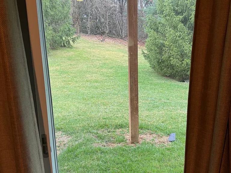 7 Cherry Ct — Photo 24