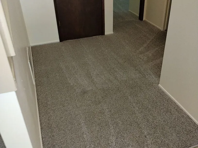 2911ce — Photo 12