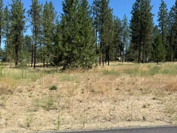 LOT 15 Long Lake Estates Est, Nine Mile Falls, WA 99026