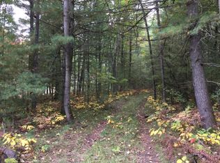 Stronach Dam Rd, Wellston, MI 49689