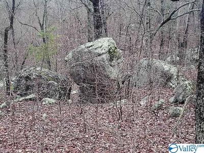 0 County Road 130, Fort Payne, AL, 35967